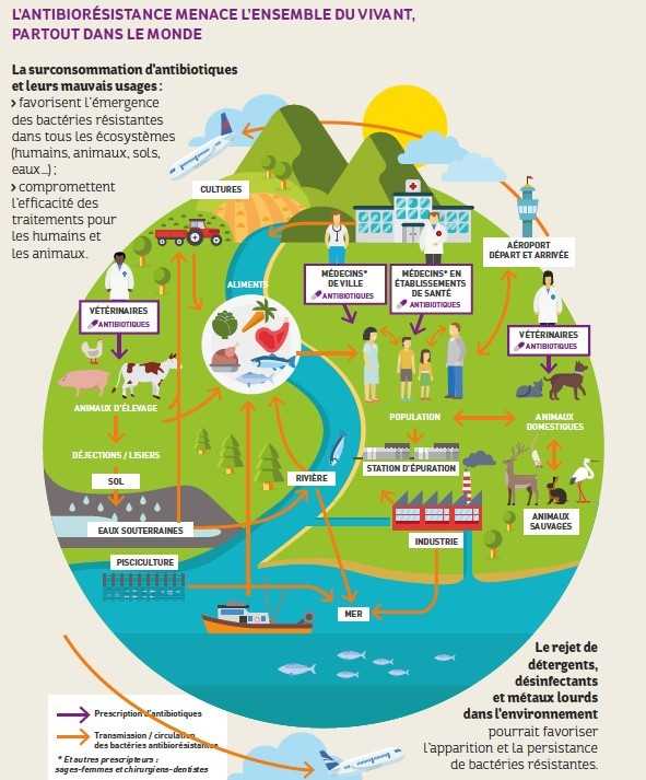 ONEHEALTH infographie